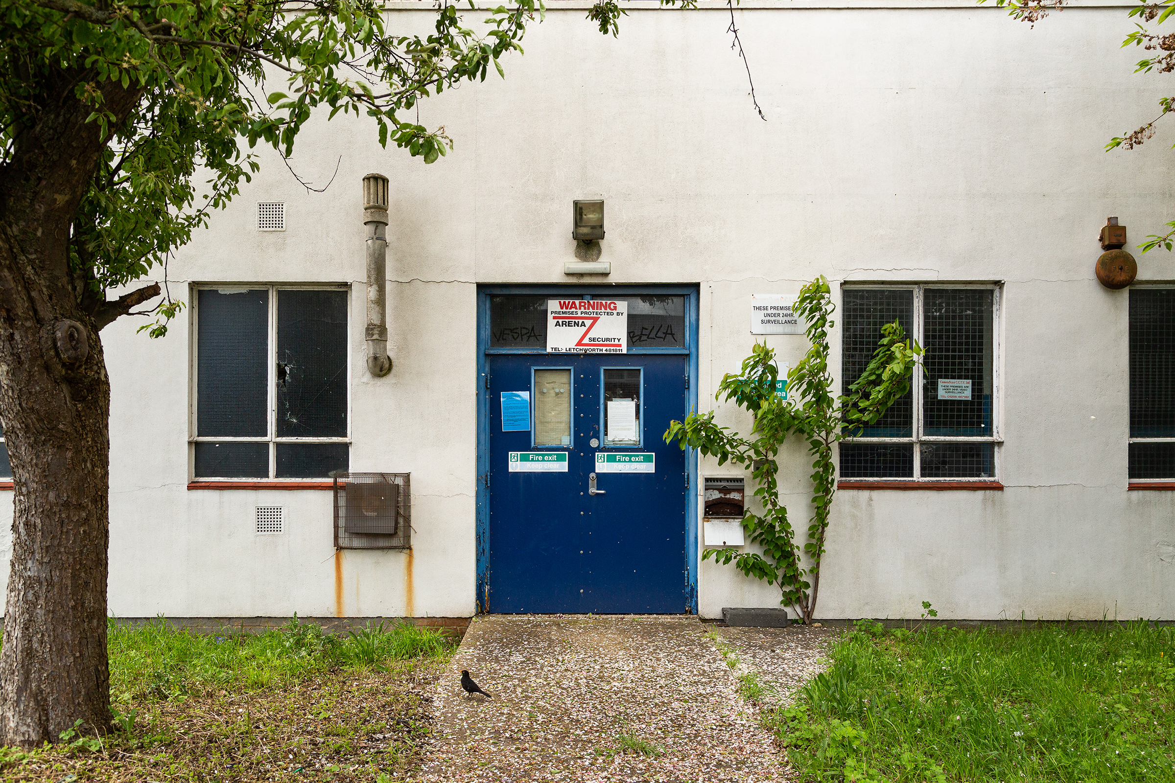 Gallery image